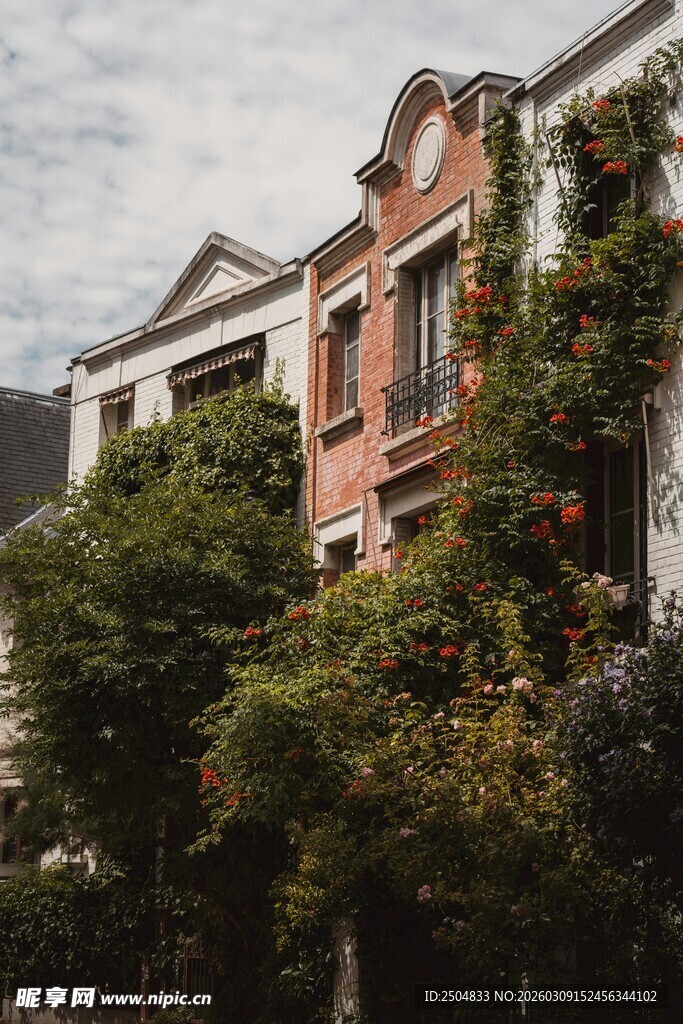 绿植环绕的欧式风格建筑