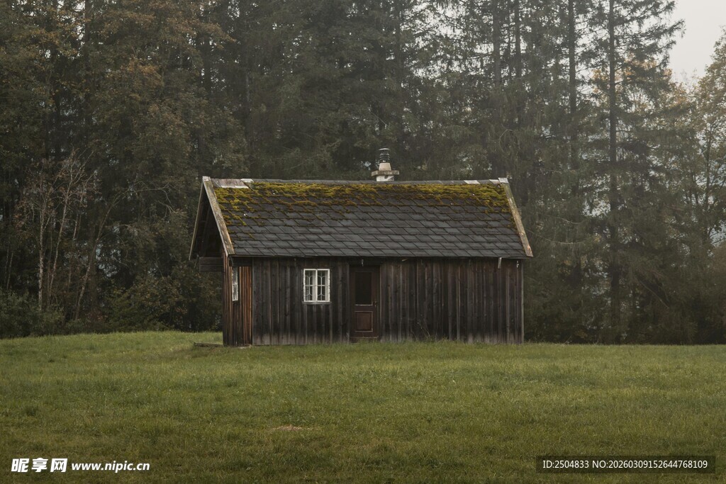 森林中的古朴小木屋