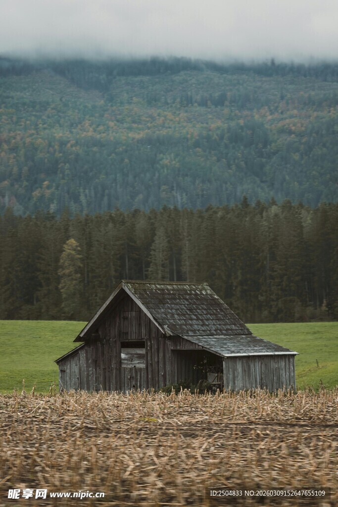 田野中的老旧木屋