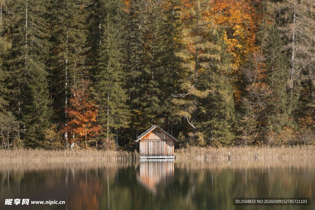 湖畔小屋 秋林环绕美景