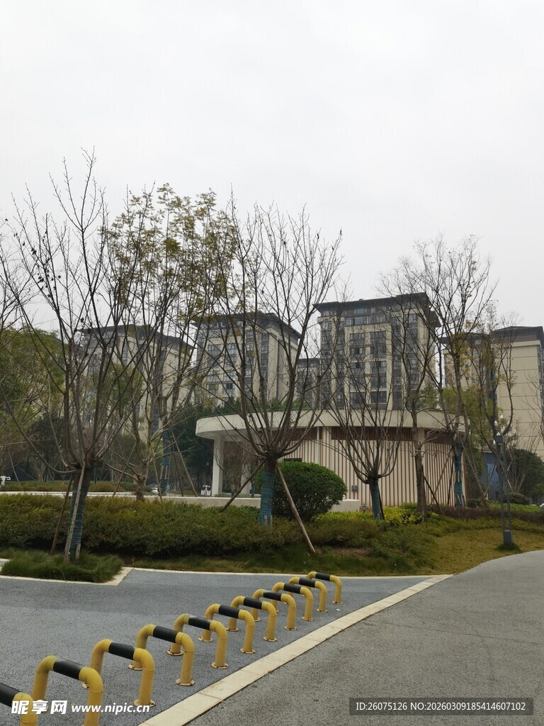 小区外道路及周边建筑景观