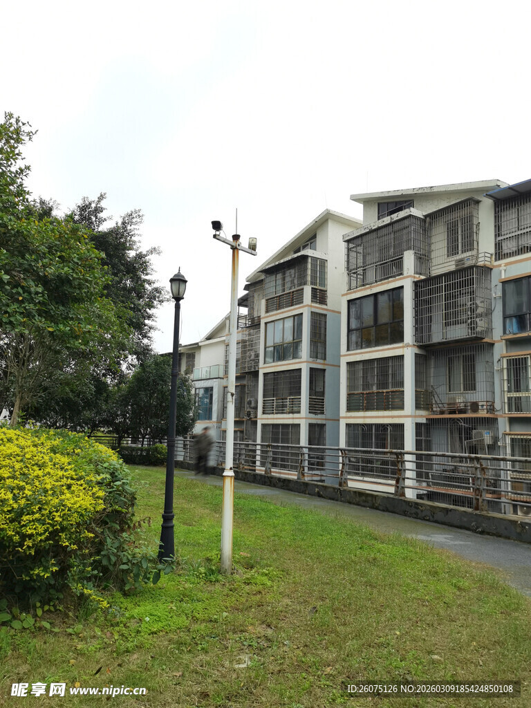 小区旁的绿化小径与建筑