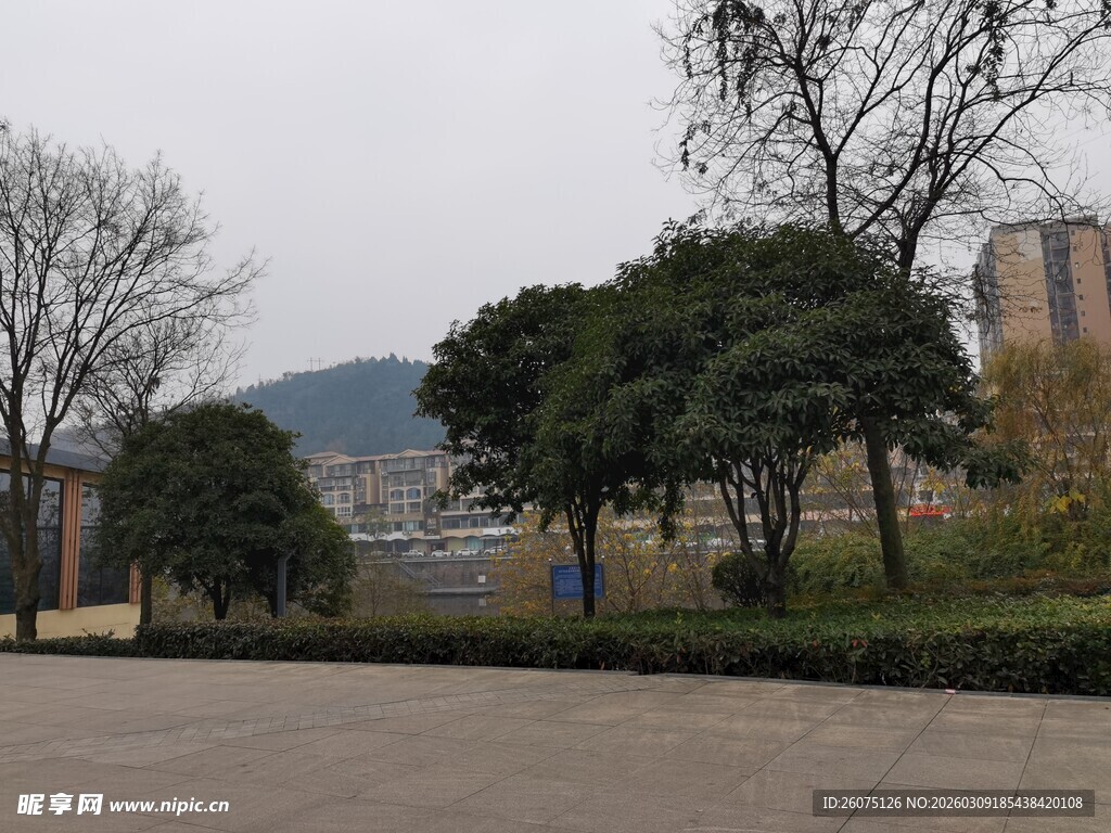 城市公园中的树木与远景