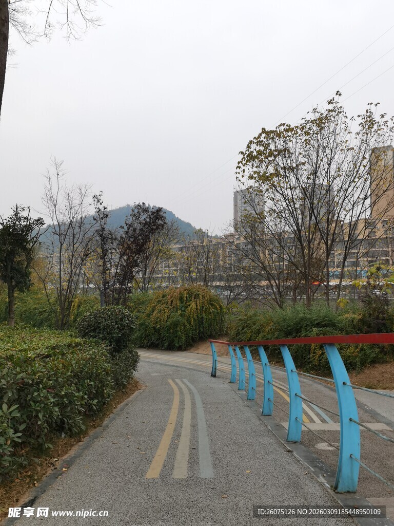 城市道路旁的绿植与设施