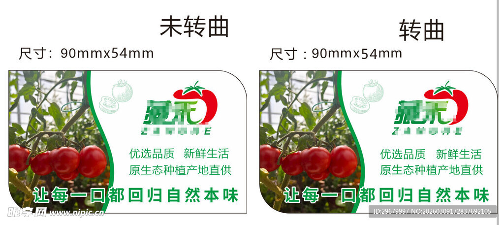 西红柿不干胶名片大小原生态