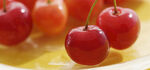 新鲜红樱桃