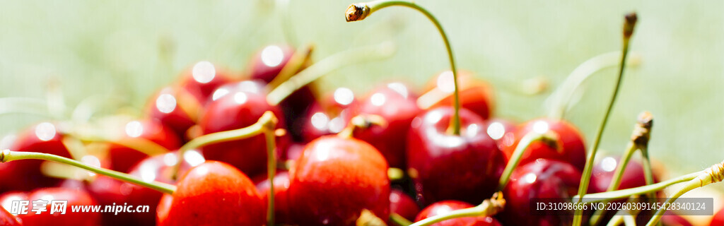 新鲜诱人的红樱桃