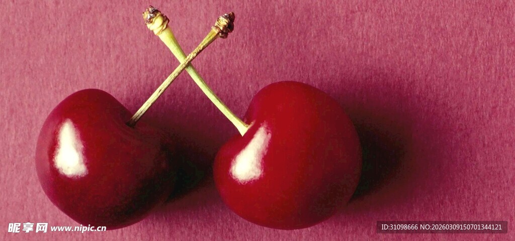 双颗鲜红樱桃特写