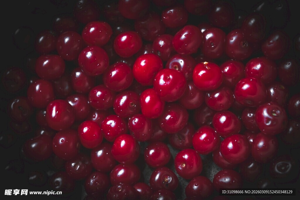 饱满诱人的新鲜红樱桃