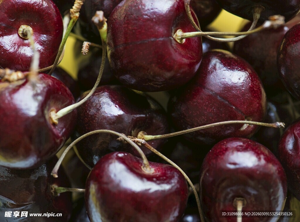 新鲜饱满的紫樱桃