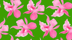 粉色兰花绿色背景图案