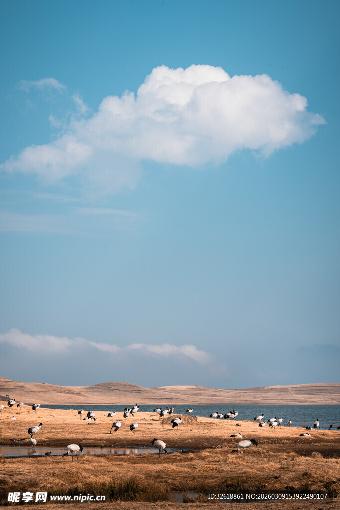 草原上蓝天白云风光