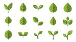 绿叶图标