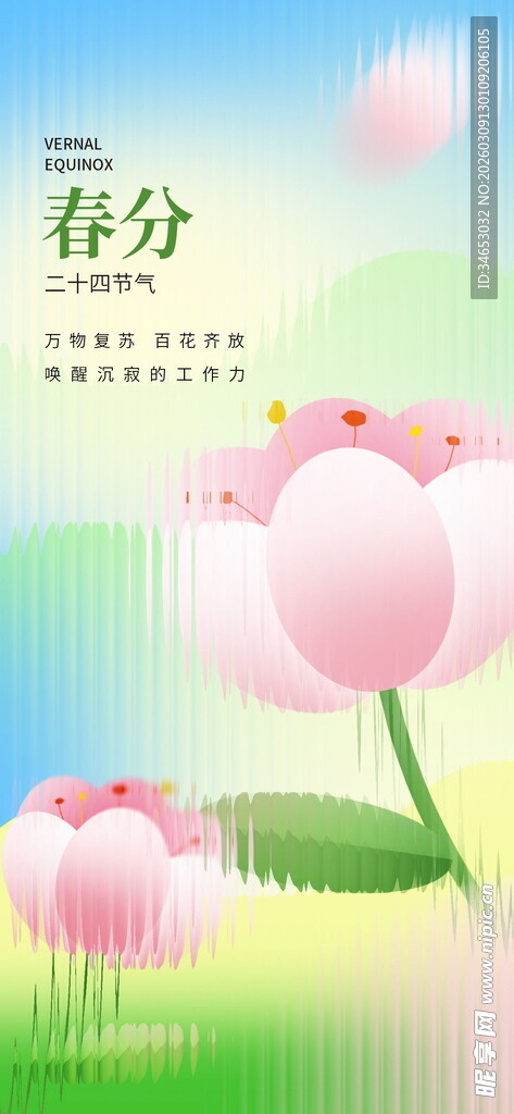 春分时节绽放的美丽花朵