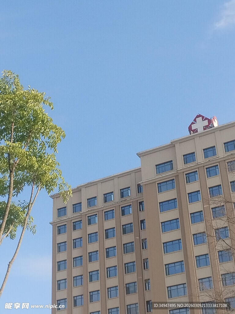 高层大楼与绿树蓝天