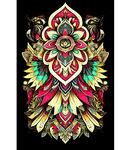 绚丽多彩曼陀罗花纹饰