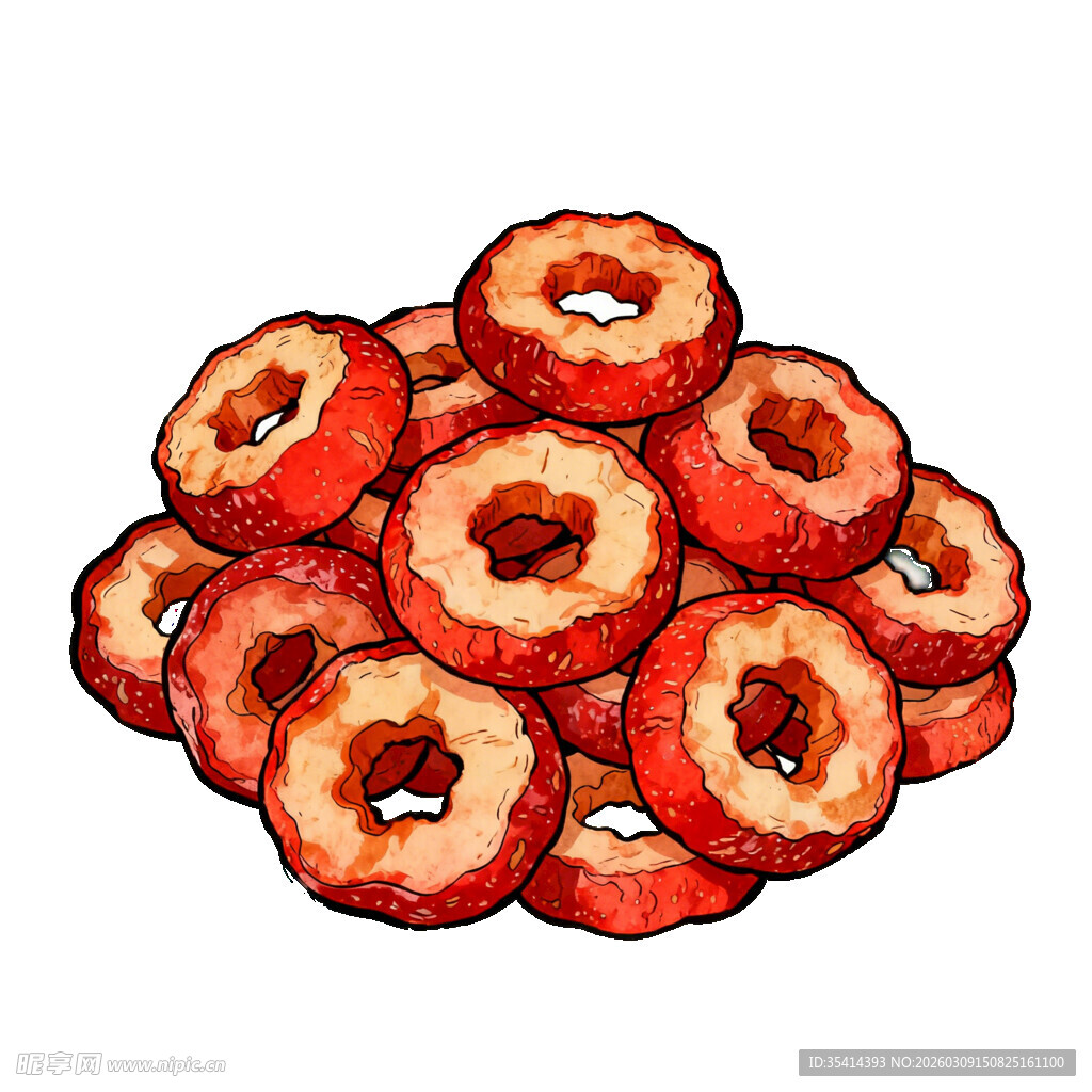 干山楂片手绘插画