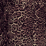豹纹纹理图案