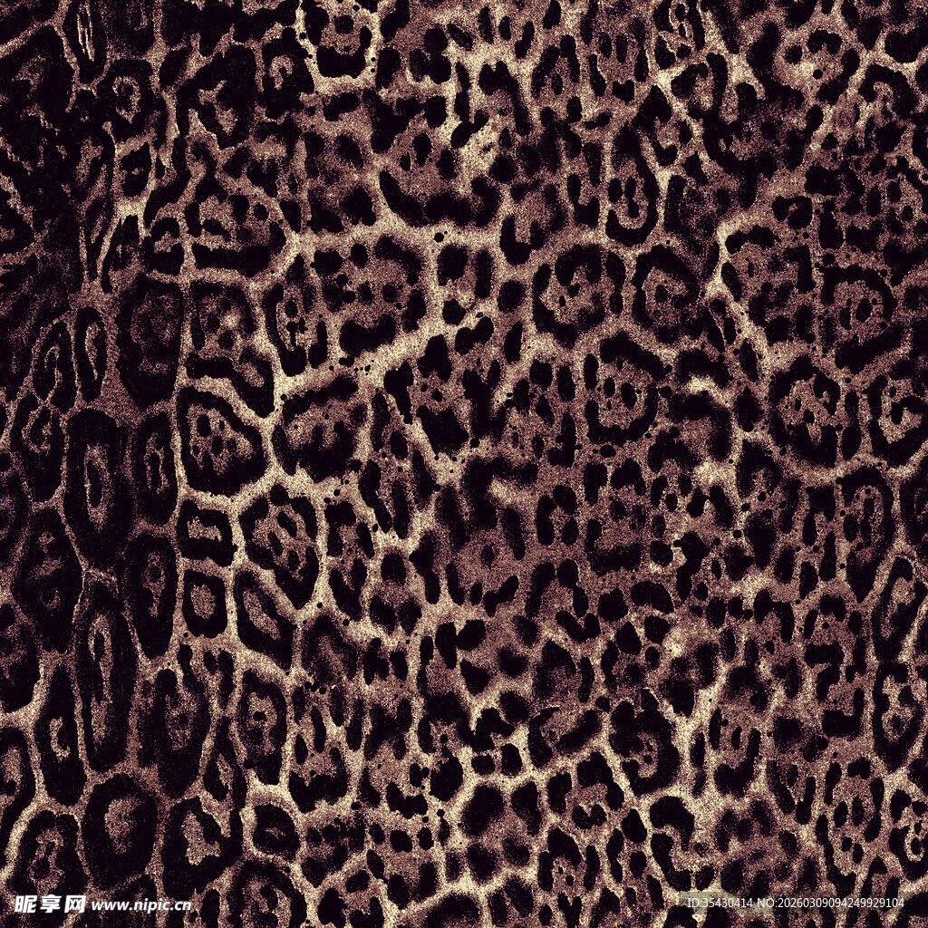 豹纹纹理图案