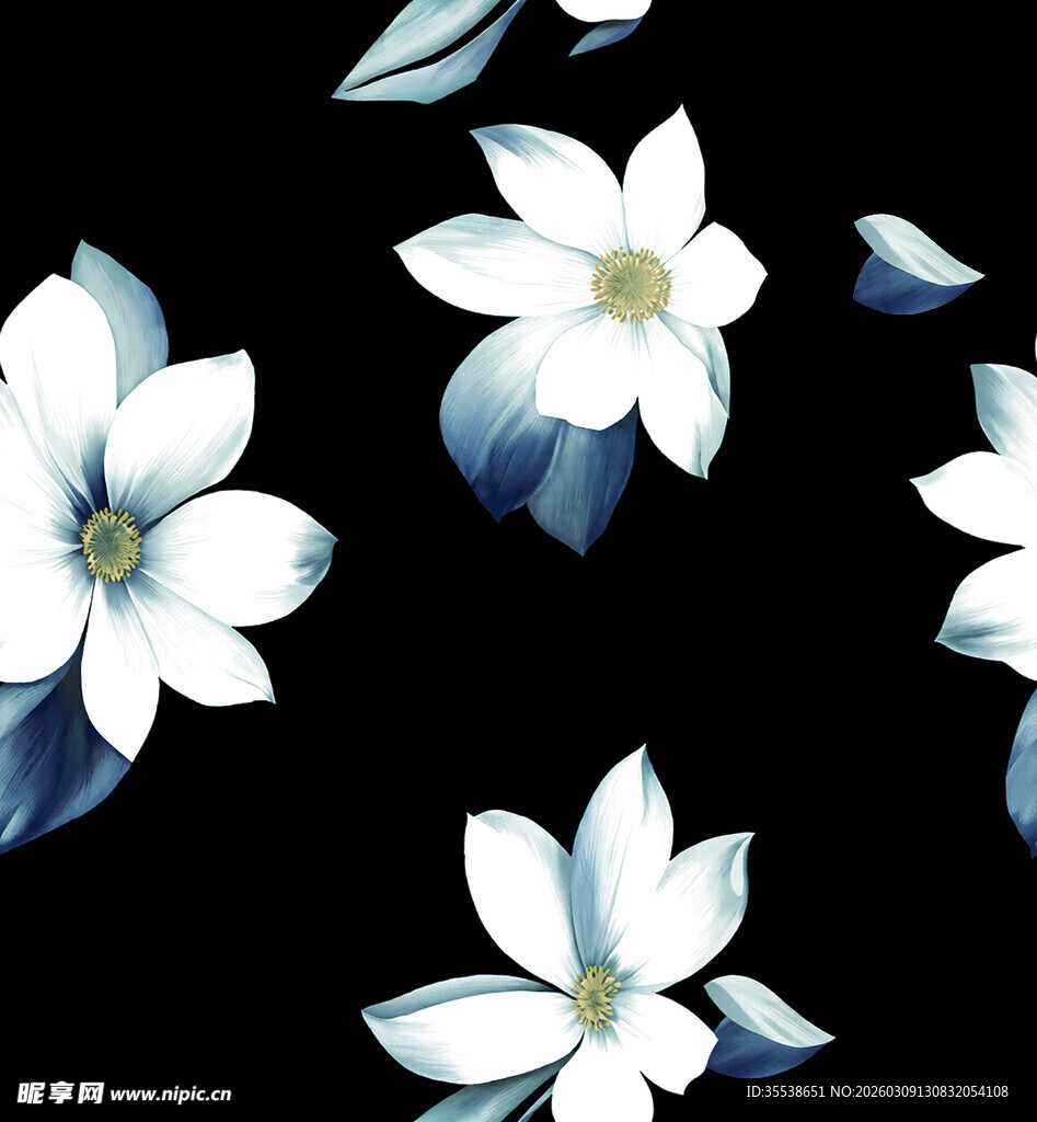 黑色背景上的素雅白色花朵