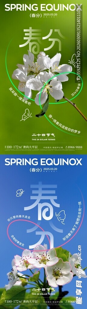 春分节气创意海报