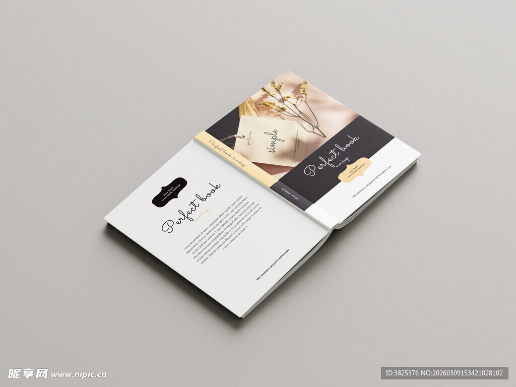 艺术画册展示样机