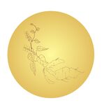 手绘 矢量 何首乌  