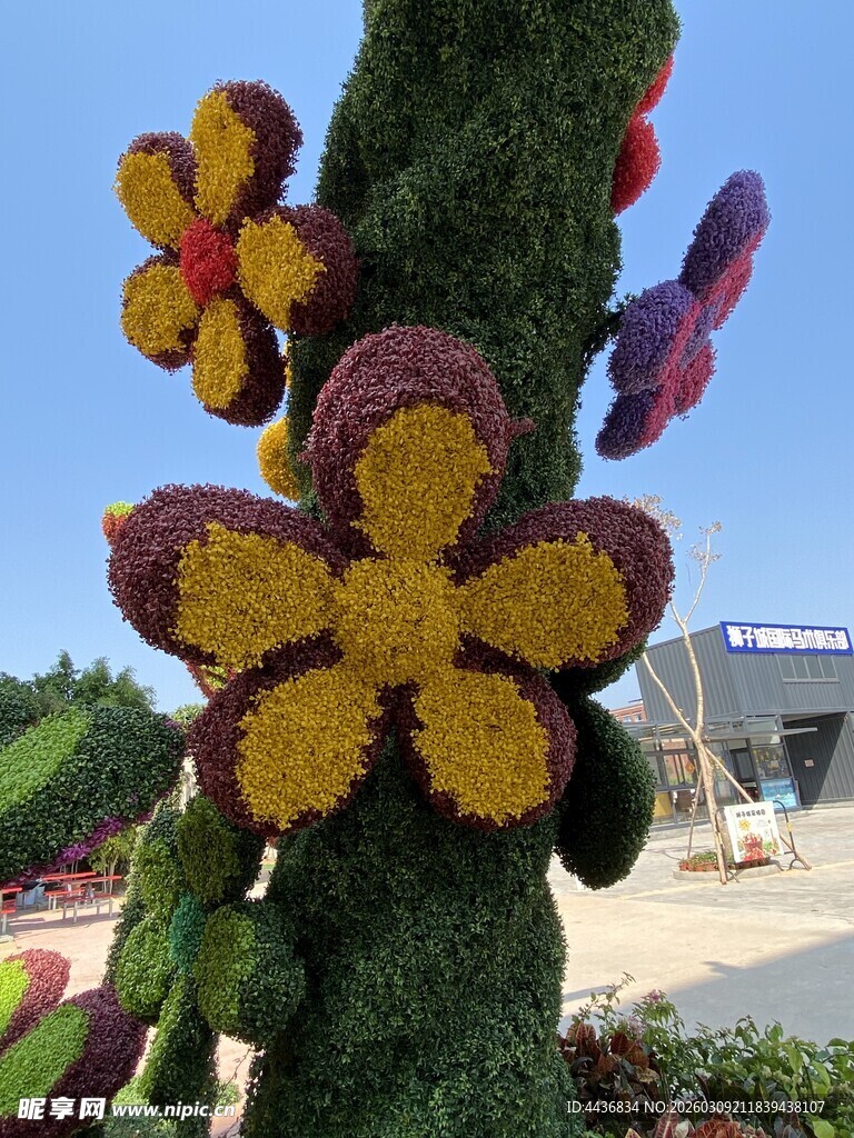 树上多彩编织花朵装饰