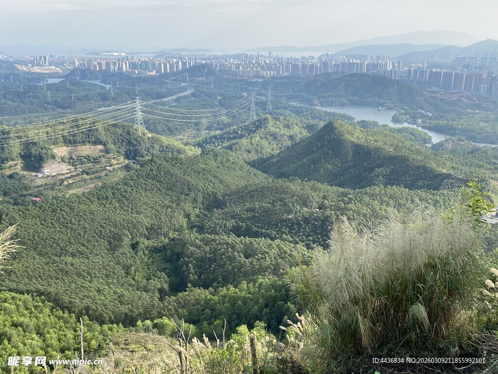 俯瞰绿意盎然的山野风光