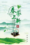 春茶上新茶叶销售海报