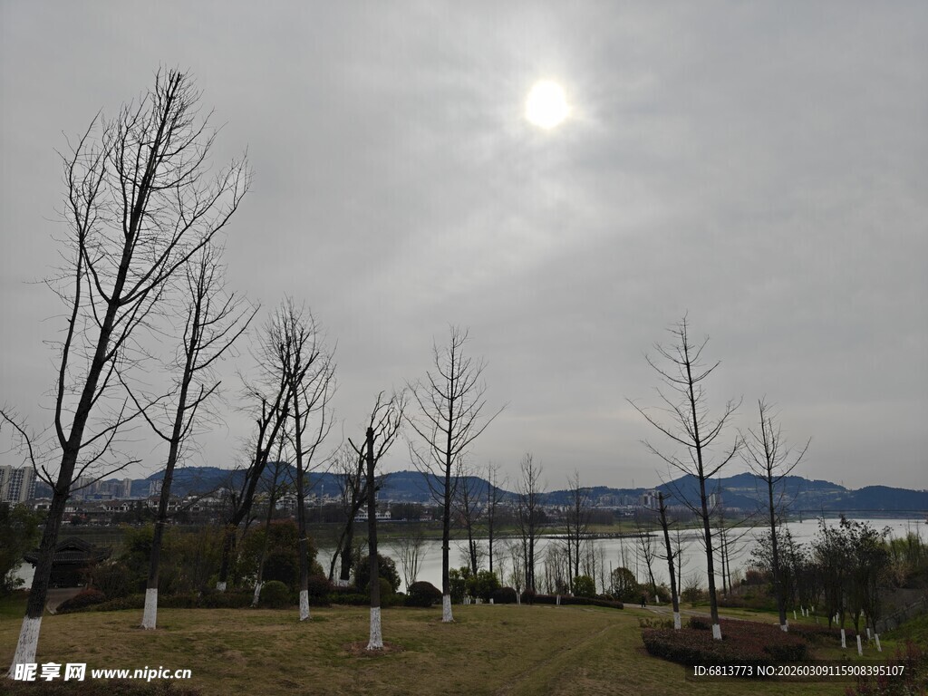 冬日湖边萧瑟景致