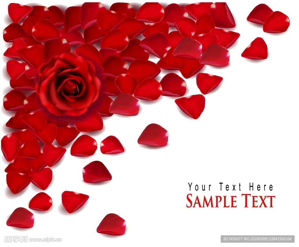 玫瑰花瓣与红玫瑰装饰