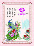 牡丹文化  孔雀图 吉祥富贵意
