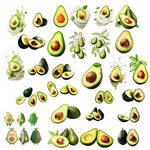 牛油果免扣素材