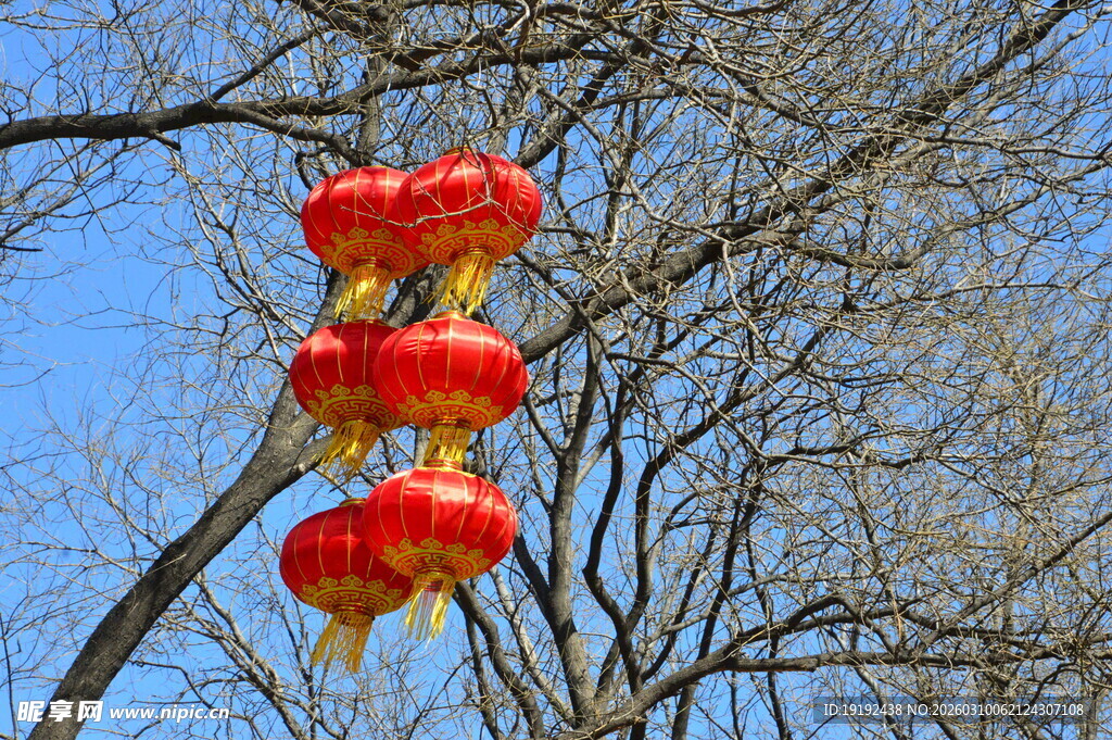 红灯笼 