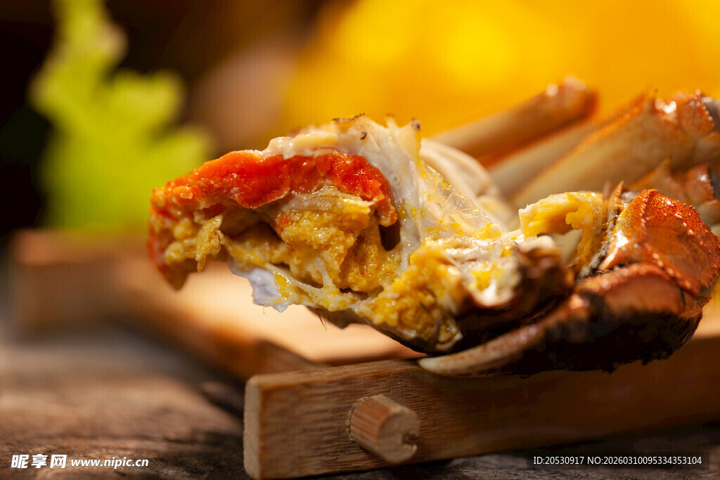 美味大闸蟹蟹膏满满诱人