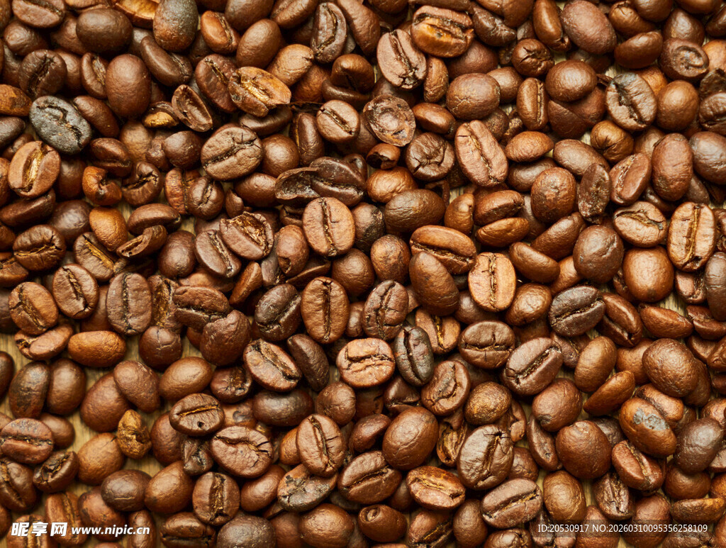 满满咖啡豆特写