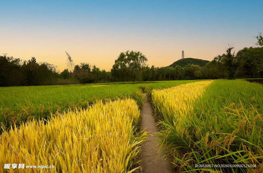 北京玉东郊野公园
