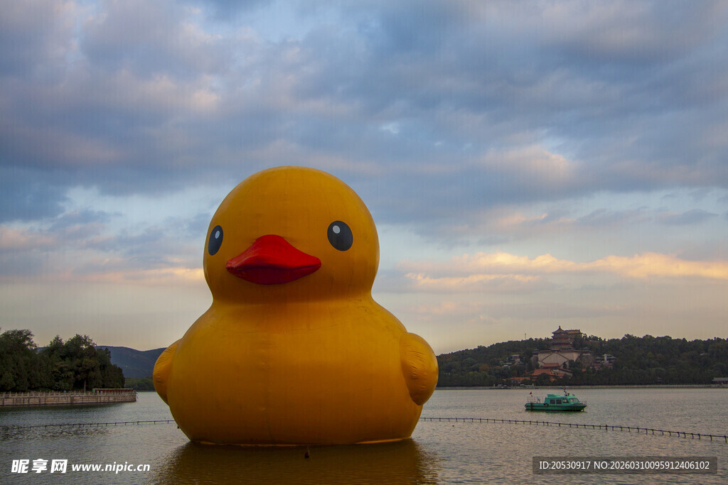 北京颐和园大黄鸭