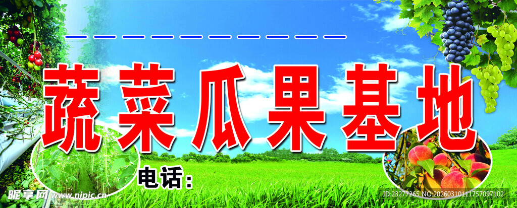 蔬菜瓜果种植基地