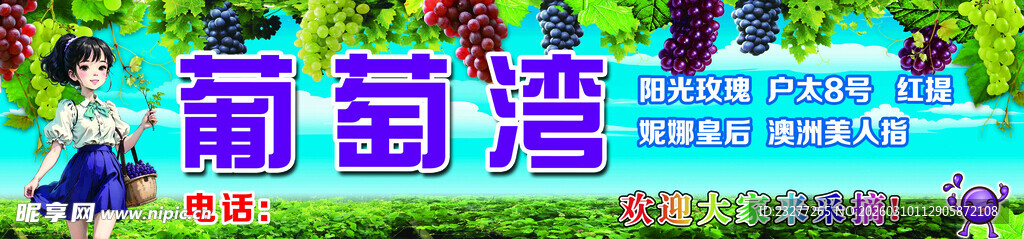 葡萄湾景区宣传画面