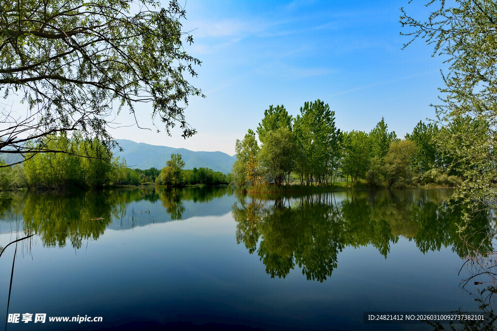 宁静湖畔绿树倒影美景