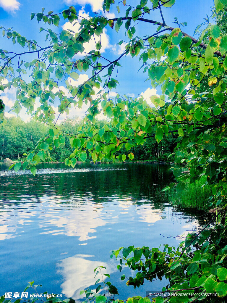 湖畔绿意盎然的自然美景