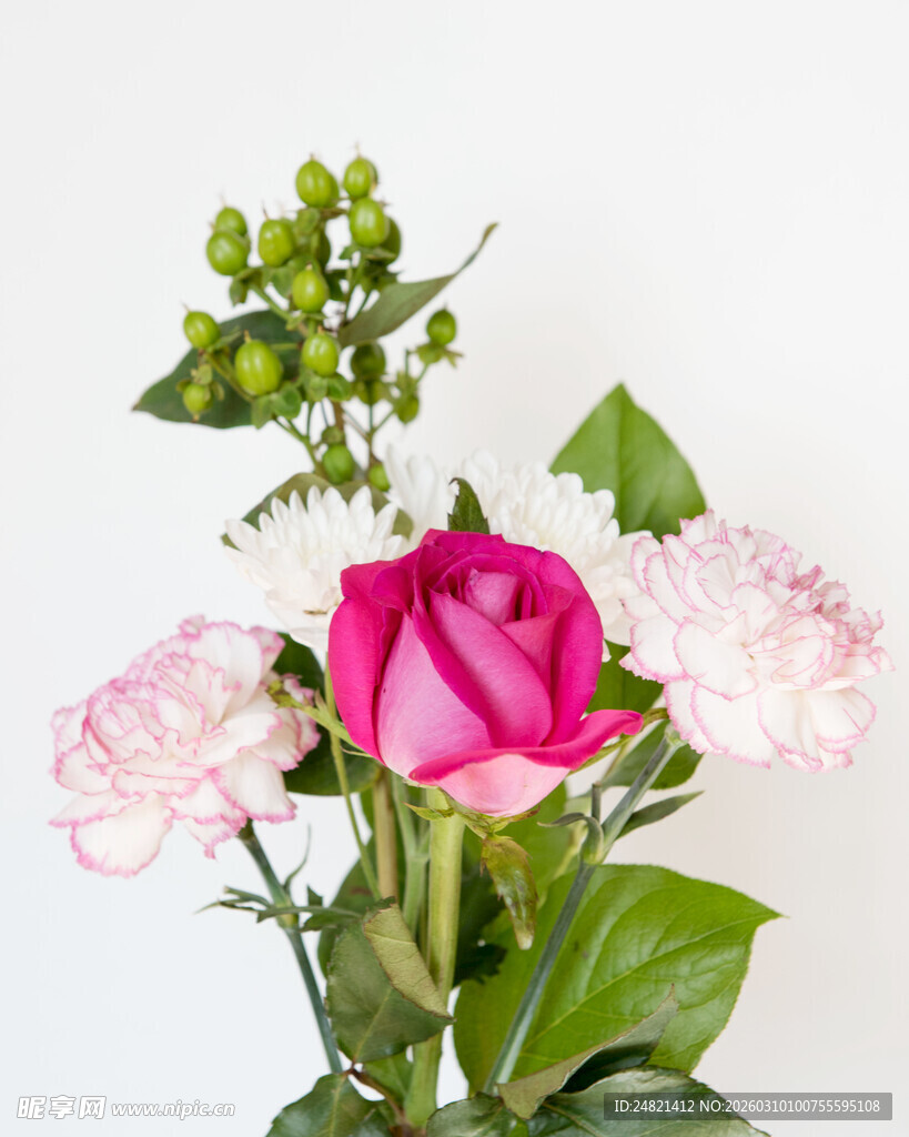 娇艳多彩花卉组合