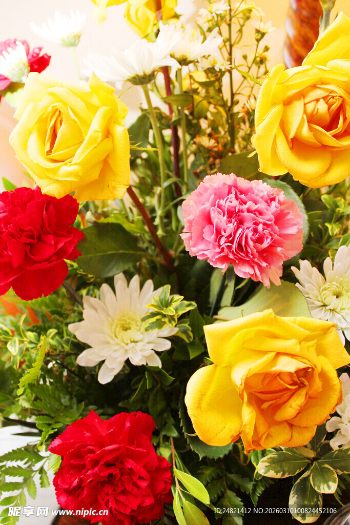 多彩鲜花组合绽放