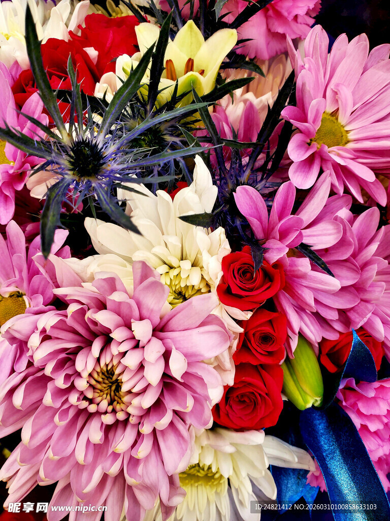 多彩花卉簇拥的精致景象