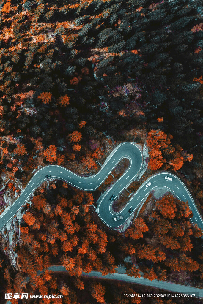 蜿蜒公路穿梭于红叶间