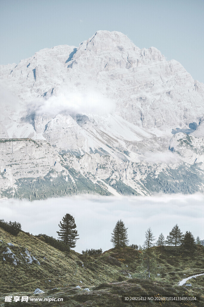 雪山下的山林景观