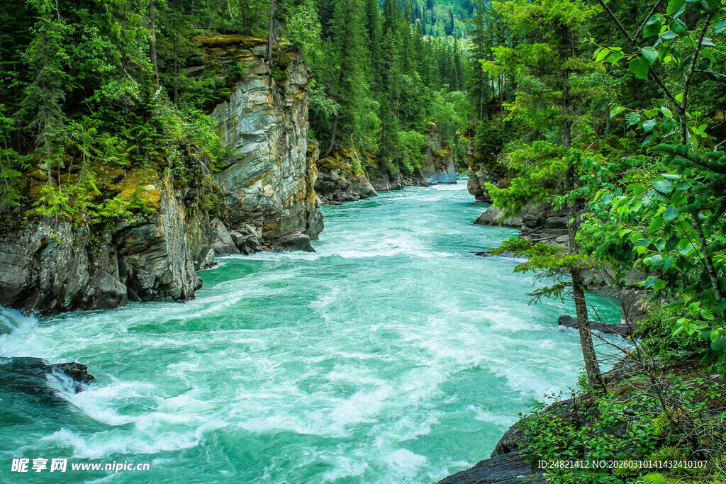 山间湍急碧绿河流景观