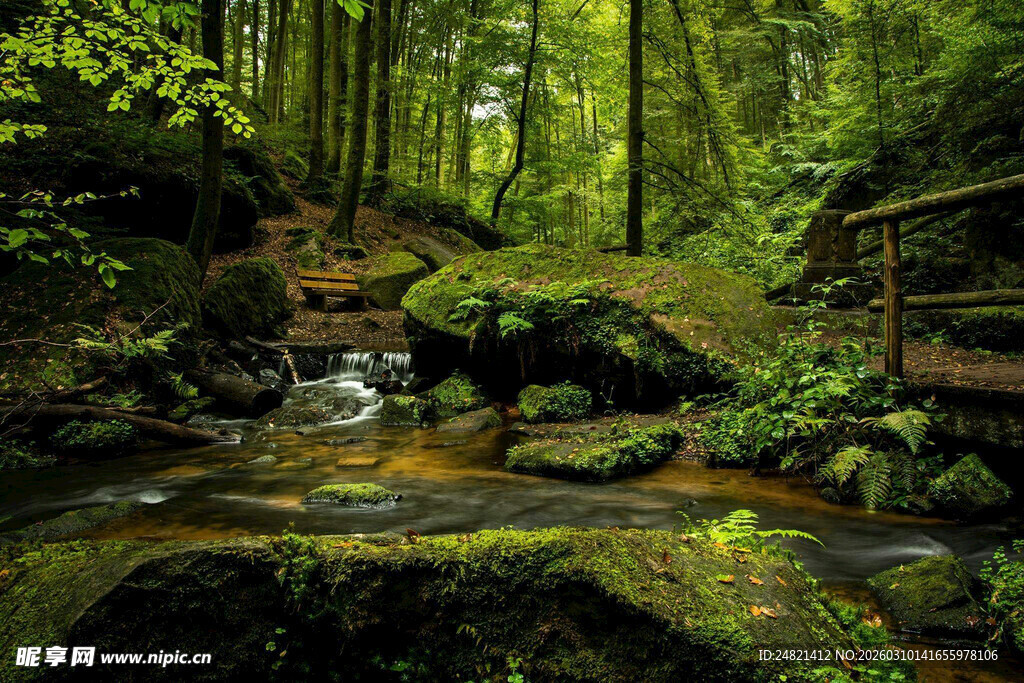 森林中的溪流与木质小屋